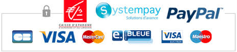 systempay logo